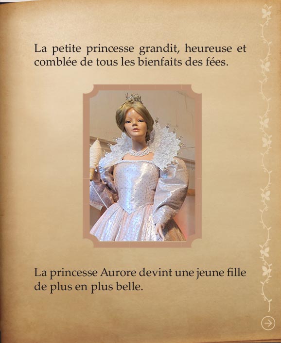 https://www.chateaudusse.fr/wp-content/uploads/2015/03/Belle-livre4-041.jpg