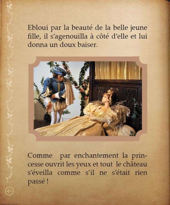 https://www.chateaudusse.fr/wp-content/uploads/2015/03/Belle-livre4-091.jpg