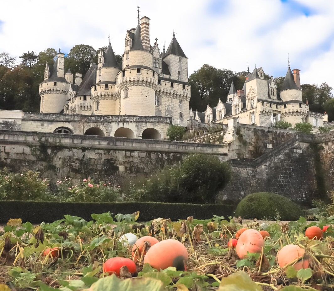 Visitez le Château de la Belle au Bois Dormant